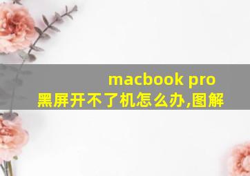 macbook pro黑屏开不了机怎么办,图解